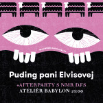 SÚŤAŽ O DVE VOLNÉ VSTUPENKY NA NMR PARTY 5.2.2016 A O CD PUDINGU PANI ELVISOVEJ /PPE/
