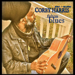 COREY HARRIS A ROCK V MÚZEU